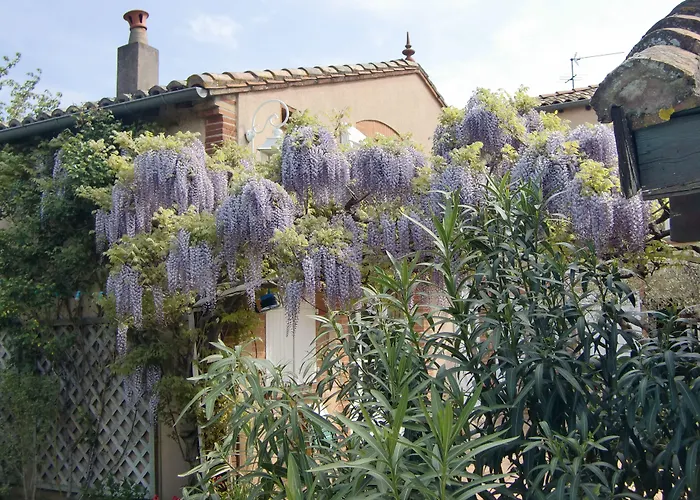 La Villa Des Violettes